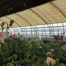 화랑농장 이미지