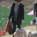 스타독 - 양산시 북정중앙로 20 | 스타독