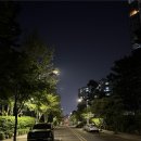 현대아이파크아파트 경로당 | 송도현대아이파크아파트 임장후기 : 캠퍼스타운역세권, 해돋이도서관, 해돋이공원, 야간주차
