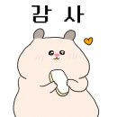 강다짐울산 이미지