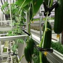 대원농장1 이미지