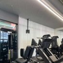 본앤머슬 이미지