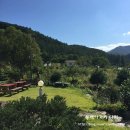 곰배령올레 이미지