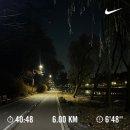 삼창치킨 | 2025년 12월 - 정답은 없고 다양함만 있을 뿐