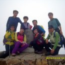 춘식이네 이미지