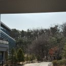 기흥도서관 | 2025년 상반기 기흥도서관 무료 프로그램 영유아 주말 동화구연 후기