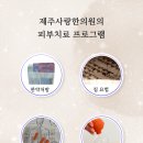 침사랑 한의원 Daum카페