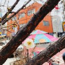 동덕유치원 이미지