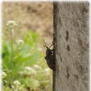 논두렁밭두렁 이미지