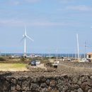 금등스테이199 이미지