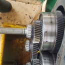 제일밋숀 이미지