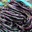 미락농장 이미지