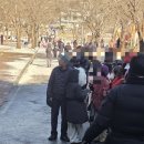 수승대사계절눈썰매장 네이버블로그