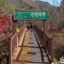 대전(동) 이미지