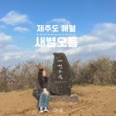 제주도 서쪽 가볼만한곳 애월 오름 추천 새별오름 소요시간 주차