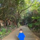 걷다보니 | 제주 산양큰엉곶 아이랑 가볼만한곳 제주포토스팟 한가득 다녀온 후기