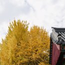 동학농민혁명기념공원 이미지