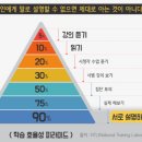 올바른교육 이미지