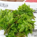 삽다리농원 이미지