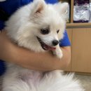 독산온동물병원 이미지