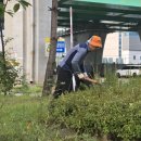 광남1동-9 이미지