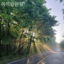 아이팝안경원 이미지