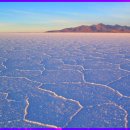 빛과 소금 이미지