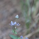 동해어달산봉수대 이미지