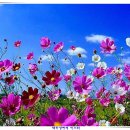 성공과 행복 이미지