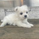 수원-0927 이미지