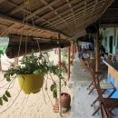 Big Tree 호스텔 이미지