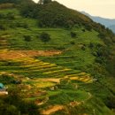 가천다랭이마을 이미지