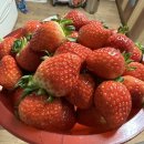 경철농장 이미지