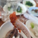 해순네 이미지