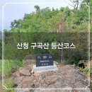 지리산황금나무 | 산청 구곡산 등산코스 후기 : 산죽 황금능선에서 지리산 천왕봉 조망