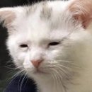 정산부인과의원 이미지