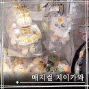 매지컬 치이카와 팝업 첫날 후기 260612 w. 나가노마켓 재입고소식