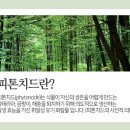스터디카페피톤치드 이미지