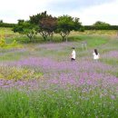 동화나라 이미지