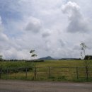 녹원목장 이미지