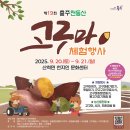 산척할인마트 | 충주축제 산척 천등산고구마축제 다녀온 후기