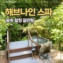 행복한 목욕탕 | 포레스트 리솜 해브나인 스파 | 목욕탕 오듯이 다니고 있다