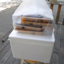 본도시락 옥계점 이미지