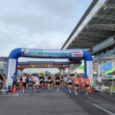 영암국제자동차 경주장 진입 가로수길 | 영암 F1 마라톤, 서킷 한복판을 달리는 단 한 번의 짜릿함