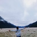 다우비 | 뉴질랜드 가족여행 남섬 일정 밀포드 사운드 투어 후기