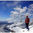 여기, 지리산 이미지