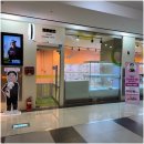 부산 강아지분양 브라비펫 2호점 | 부산애견분양 건강하고 활발해서 정말 행복한 생활 함께 할 수 있는 브라비펫