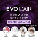 라라속눈썹 이미지