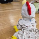 풀잎어린이집 | 홈플러스 문화센터 세종점 _ 풀잎아이 수업 후기!문센 적응 잘하는 팁!(8~13개월)