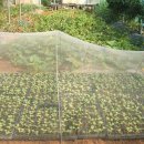 상순농장 이미지